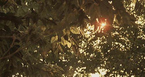 2252_0_550_0.gif